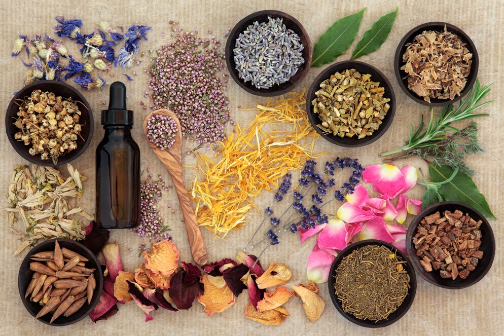 herbs to rejuvenate the skin